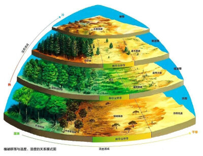 地理 知识最爱 