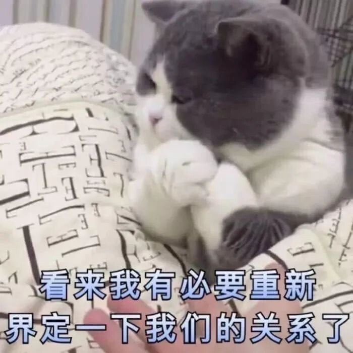 猫猫可爱表情包