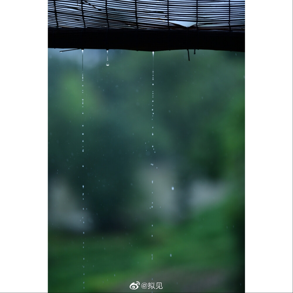 雨