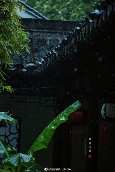 雨