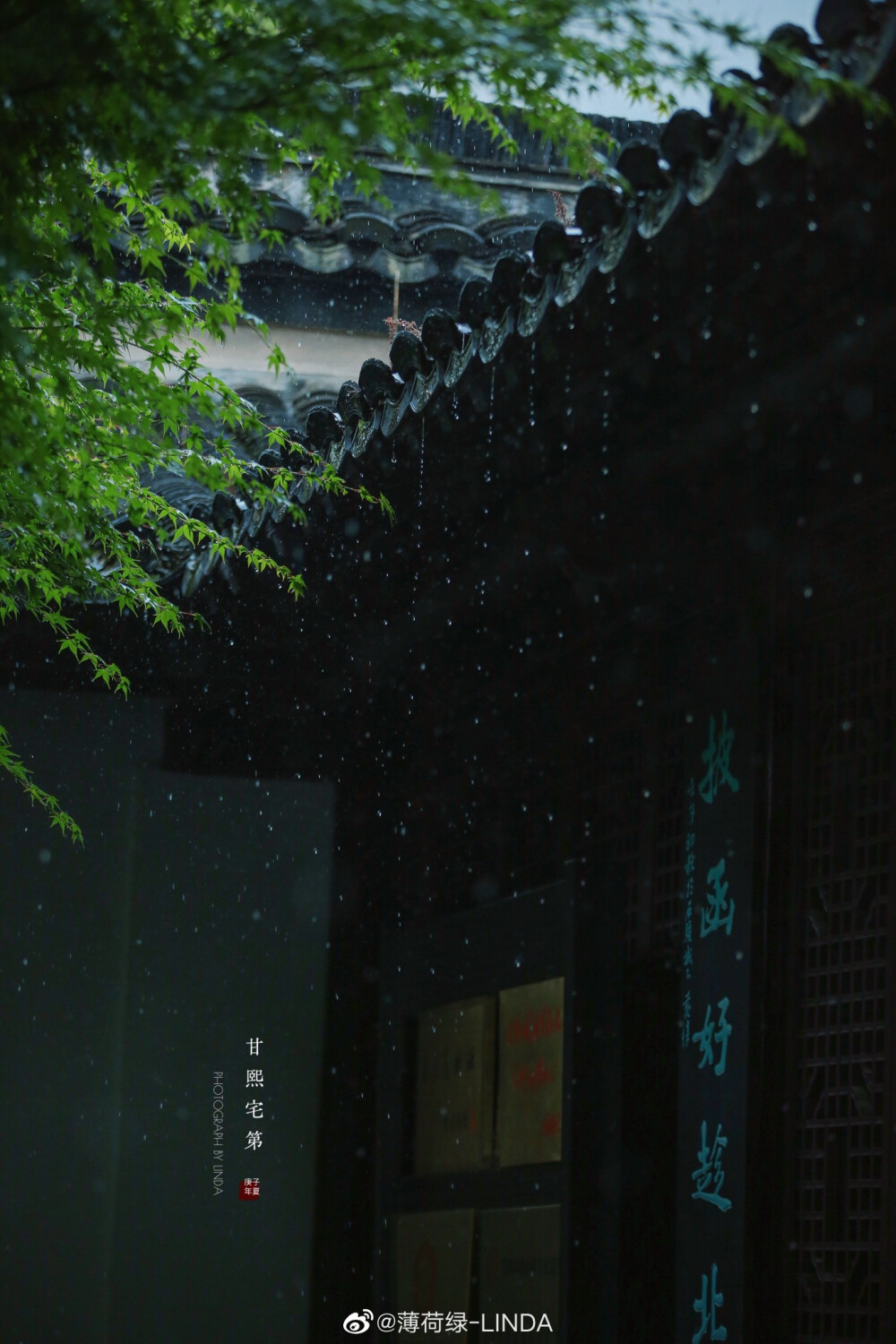 雨