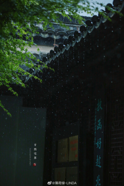 雨