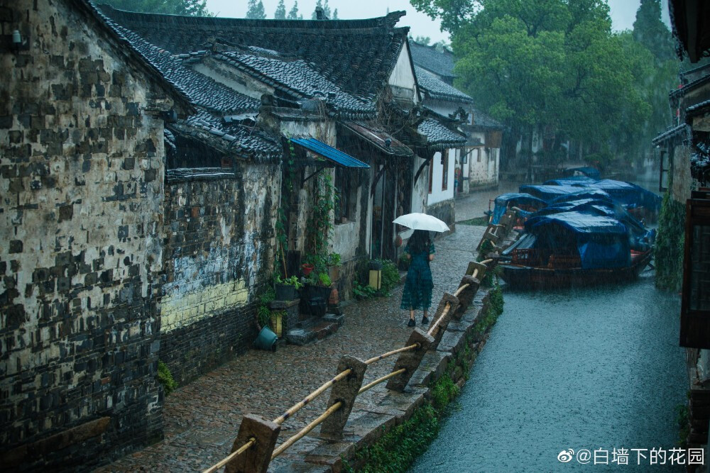 江南的雨