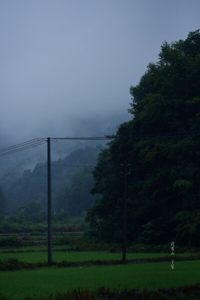 江南的雨