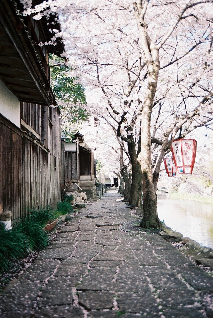 风月相知