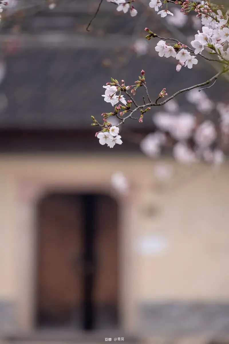 风月相知