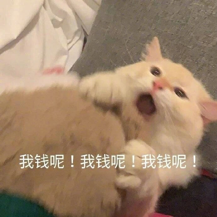 #阿猫阿狗.jpg