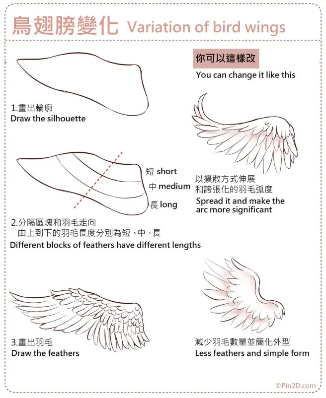 翅膀