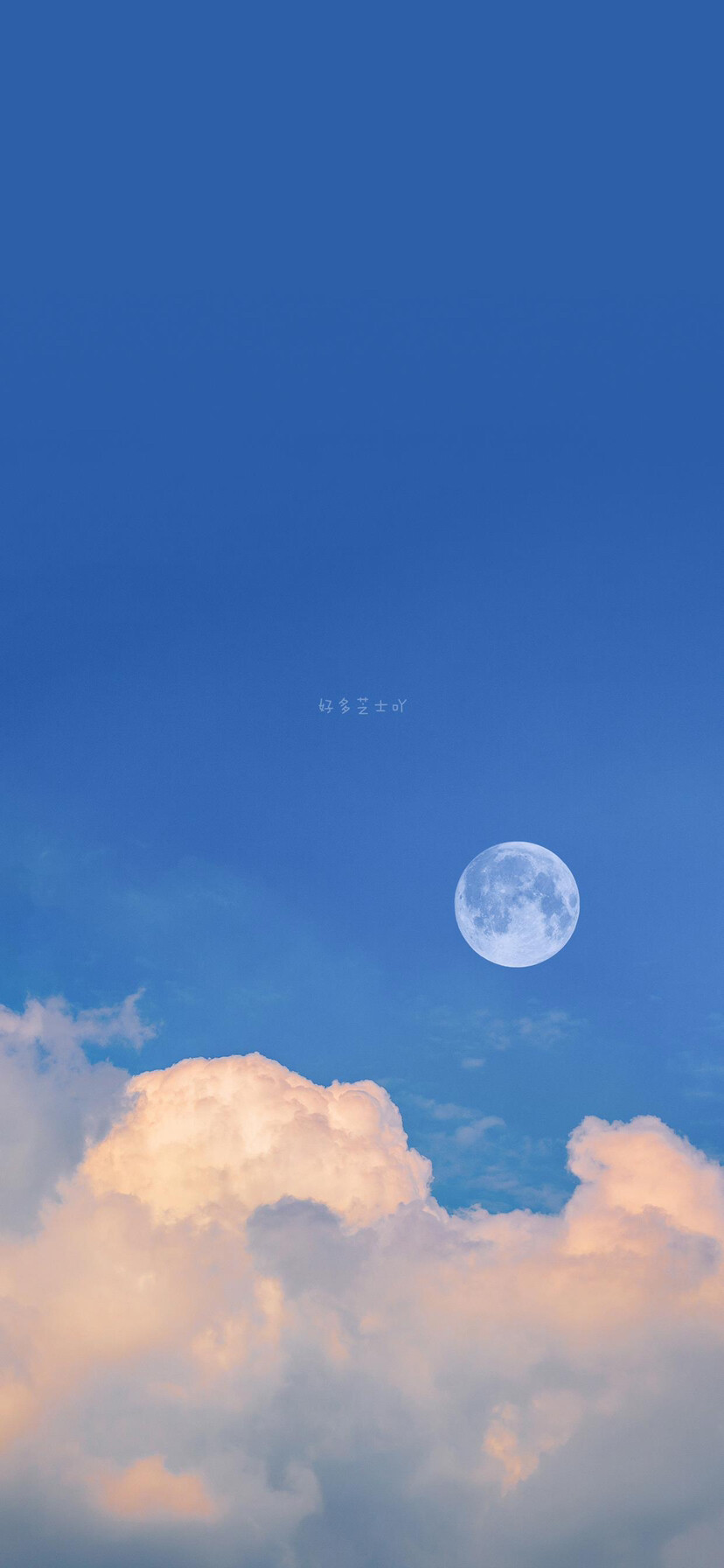 壁纸