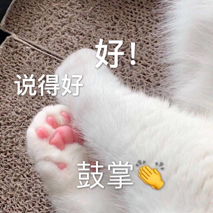 表情包 猫狗