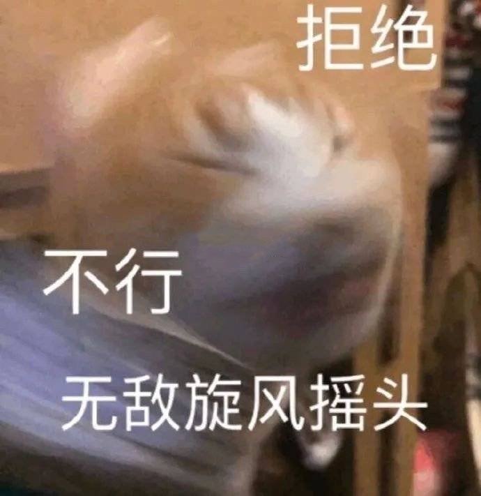 表情包 猫狗