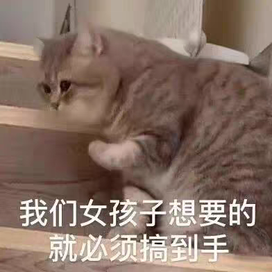 猫狗表情包