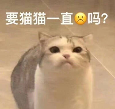 表情