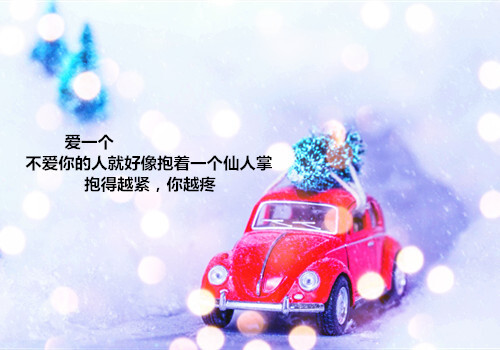 手机壁纸 桌面 高清 摄影 美图 艺术 风景 人像