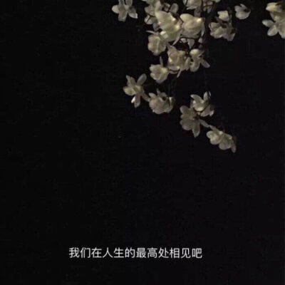 #鞠婧祎
每个人都有自己的月亮
二传标注堆糖软兔缨眠/亓官妍 | 原截dt池炀