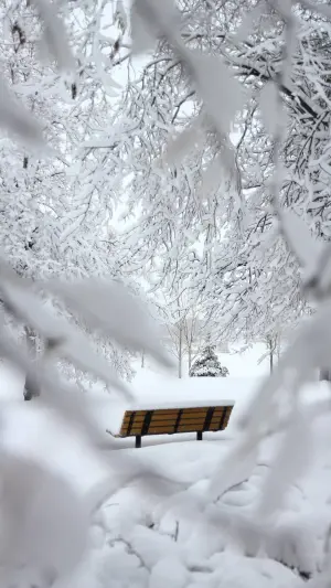 雪