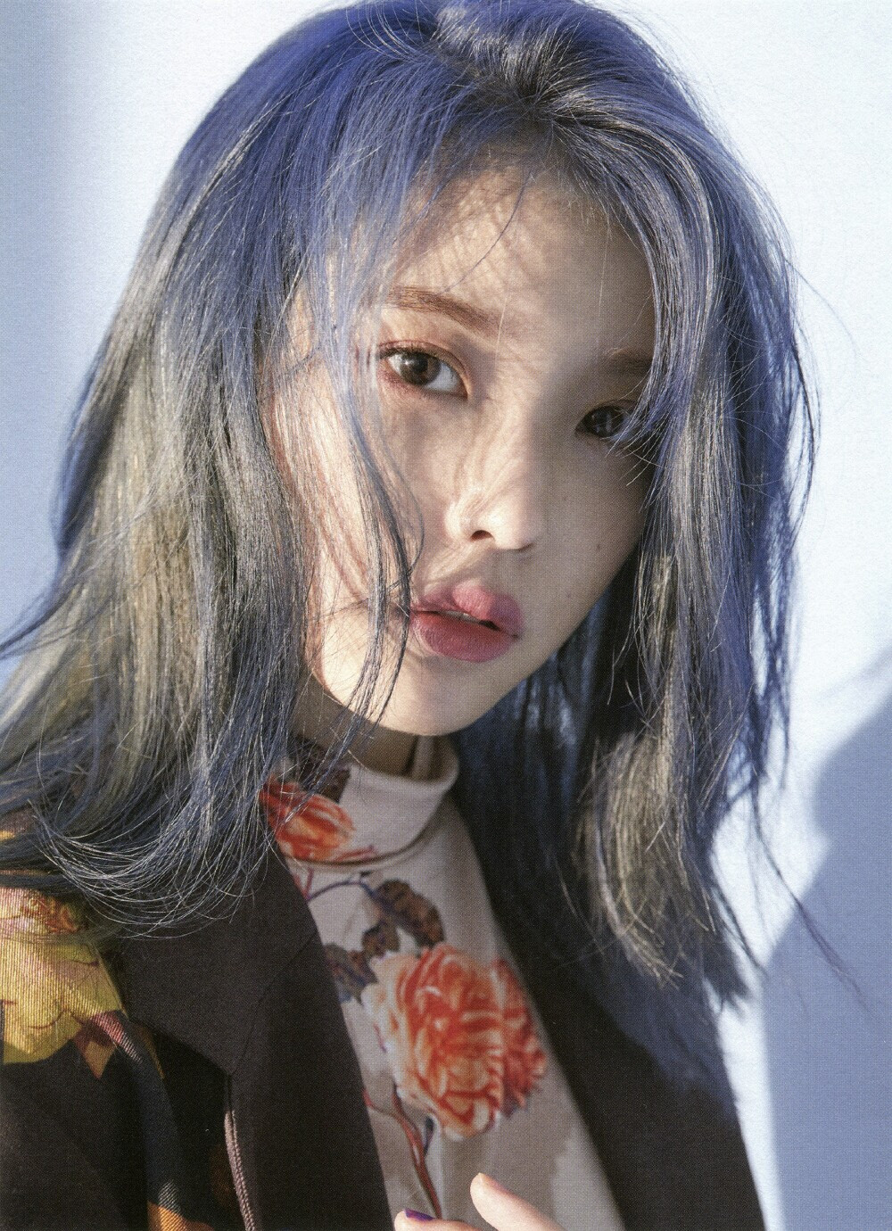 iu 壁纸