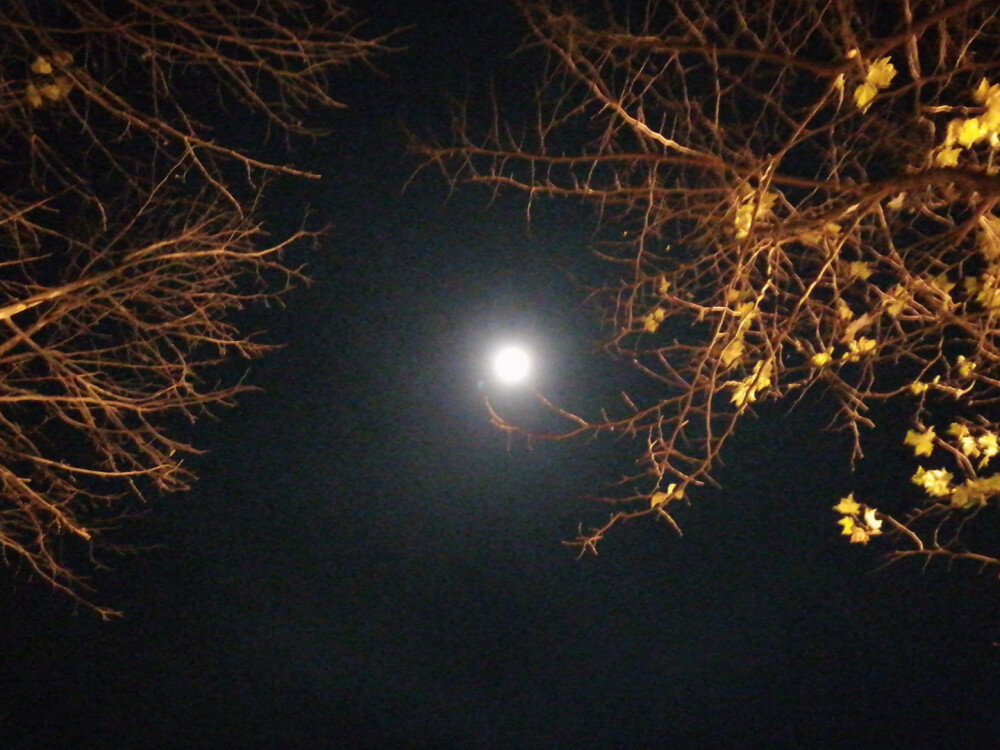 守得云开见月明全开云体育- 开云体育官方网站- 开云体育APP 最新2025诗开见月明全诗