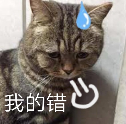 猫咪表情包 可爱