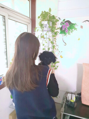 那天，就说了那一个字，“想”
眼泪就止不住了
