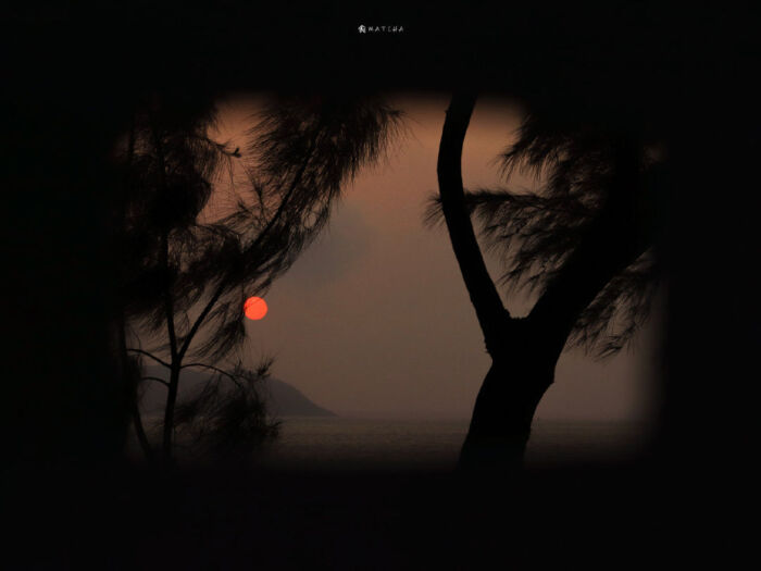 我不在任何人的计划里 我的计划里也没有任何人 我现在受一点委屈都不行 所以我只爱我自己