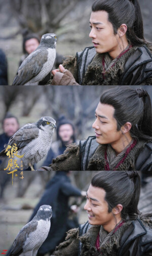 狼殿下，疾冲，肖战