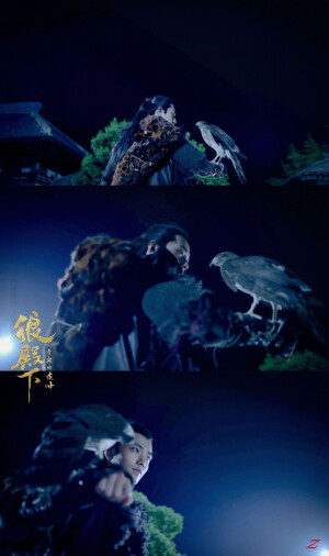 狼殿下，疾冲，肖战