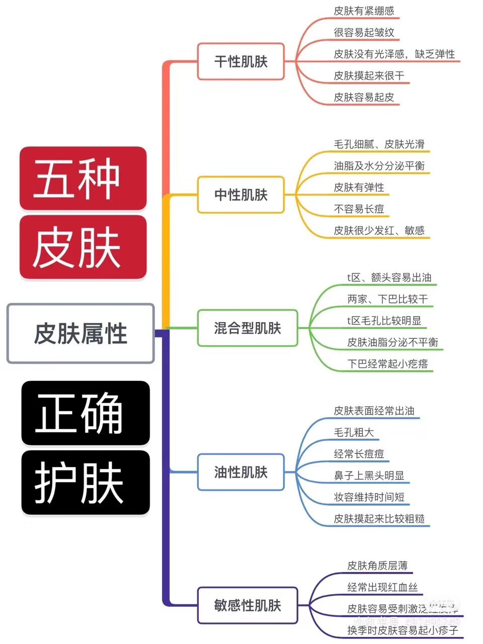 皮肤属性，护肤方法