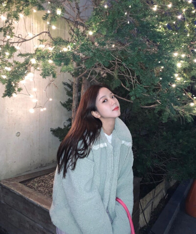 jisoo 金智秀 ins的搬运工！