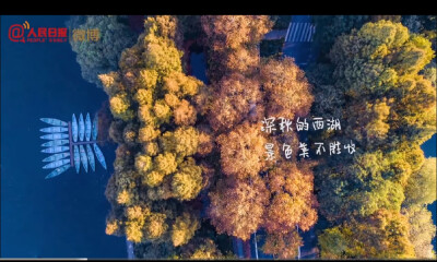 秋