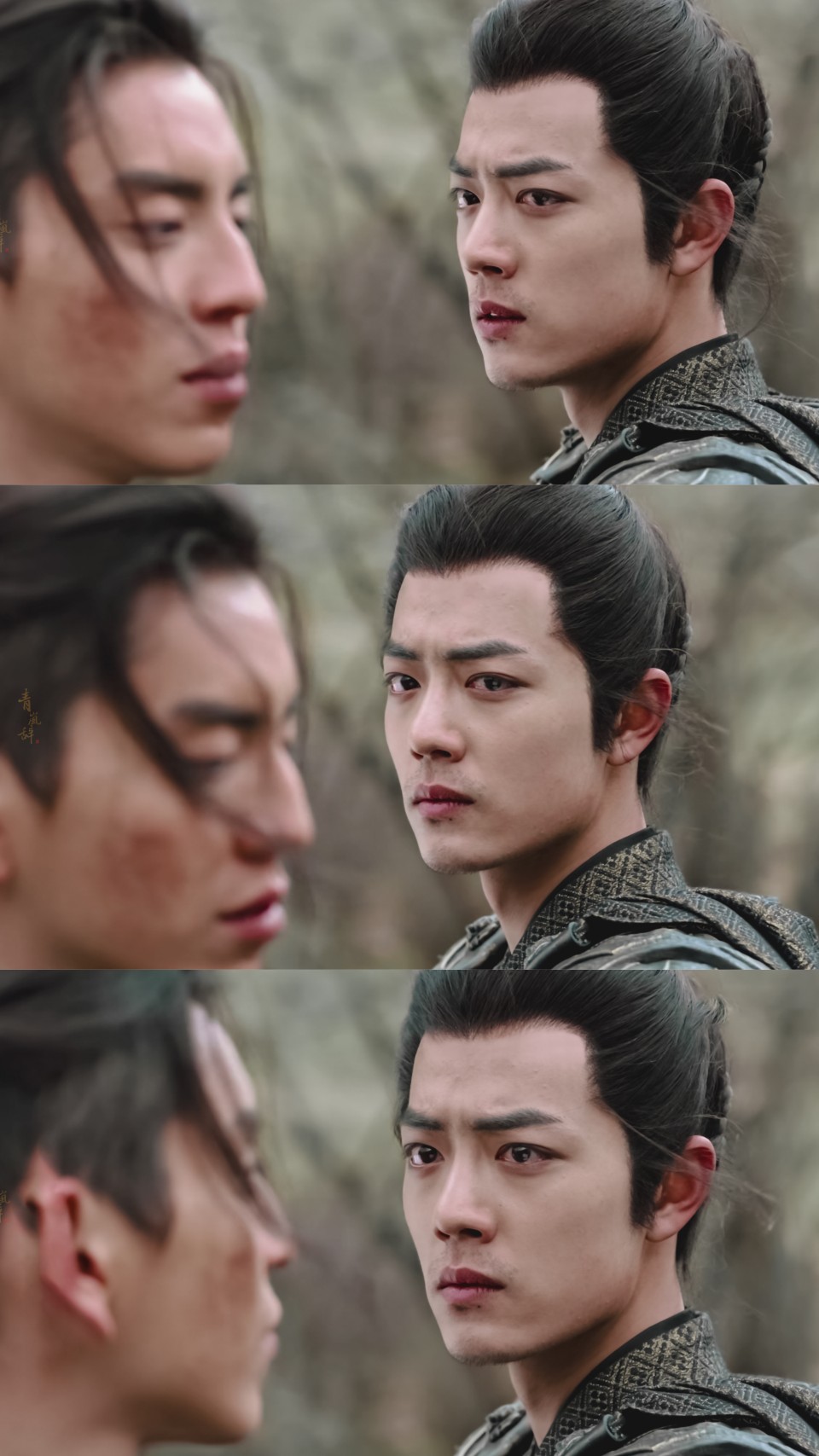 狼殿下王大陆肖战