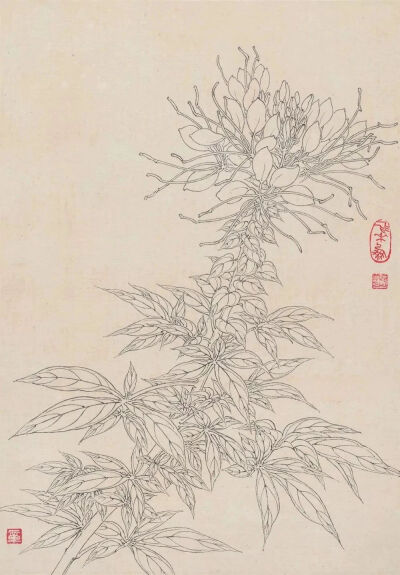 线条的故事