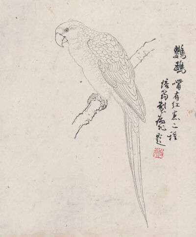 线条的故事