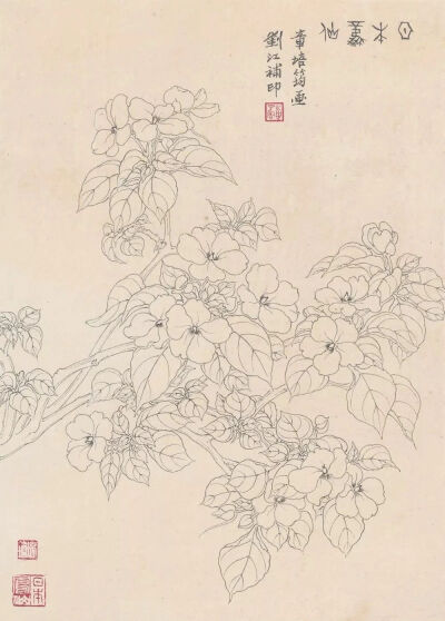 线条的故事