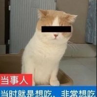 高糊小表情