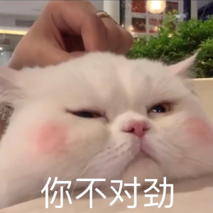   可爱猫咪表情包丨腮红球
