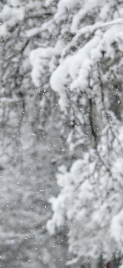 初雪 冬日