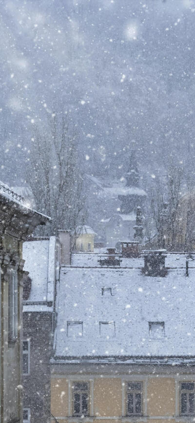 初雪 冬日