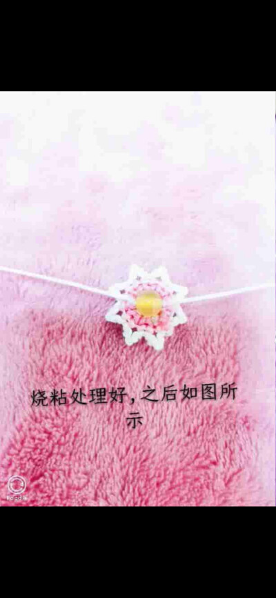 小雏菊