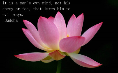 From Buddha