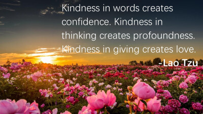 Kindness in words creates confidence. Kindness in thinking creates profoundness. Kindness in giving creates love.
-Lao Tzu