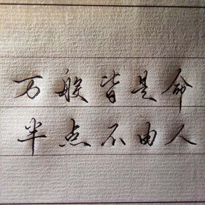 文案 手写 文字