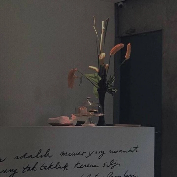 (๑>؂<๑）好吃喵！