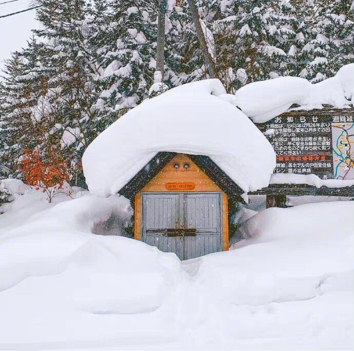 雪景