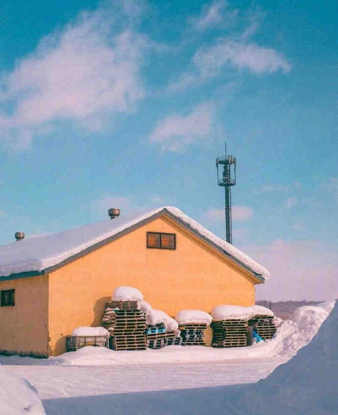 雪景