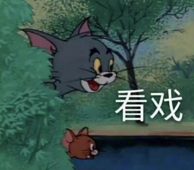 表情