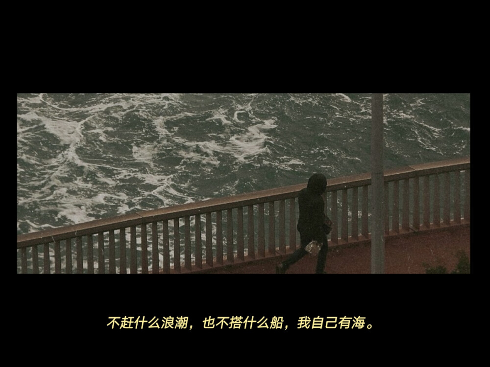 冯唐/张嘉佳/陈粒