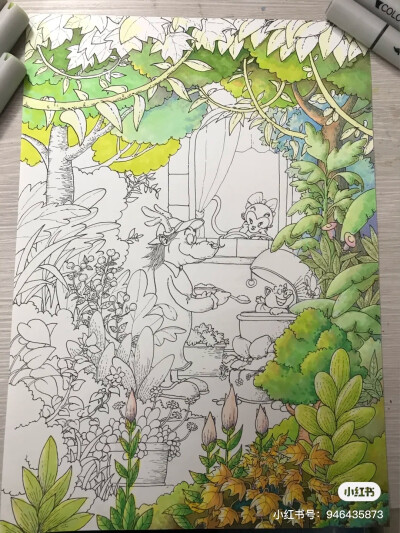 小红书 马克笔画 侵可删