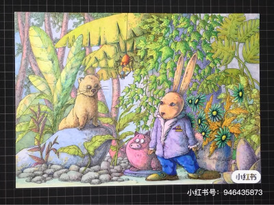 小红书 马克笔画 侵可删