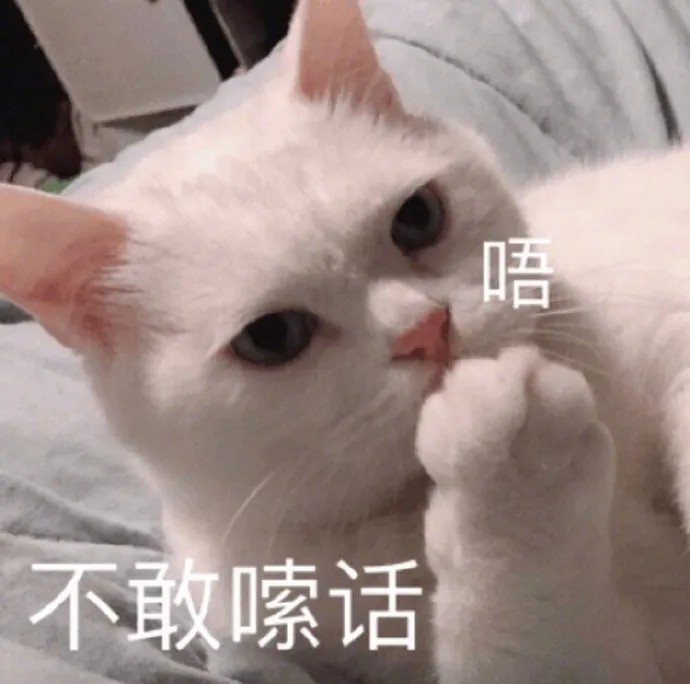 表情包
猫